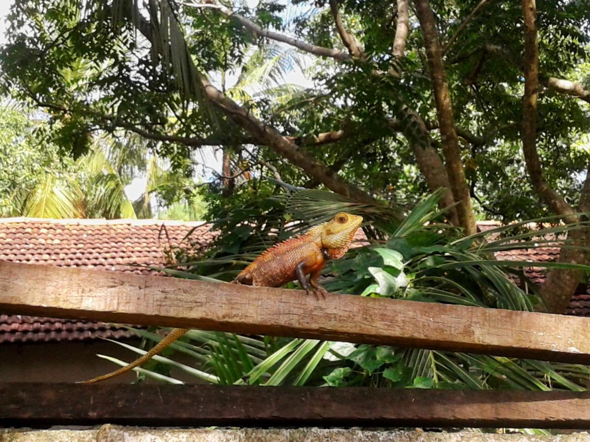 Hotel Nimjaya Udawalawe Luaran gambar